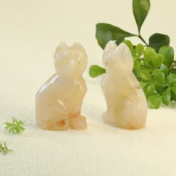 Kissa – kukka-akaatti