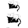 Kittens - Pieni siirtotatuointi