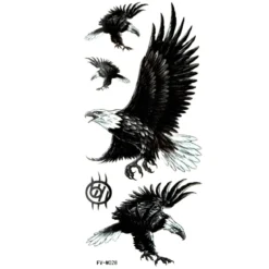 Kotkat - siirtotatuointi