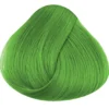 La Riche hiusvärit - Spring Green
