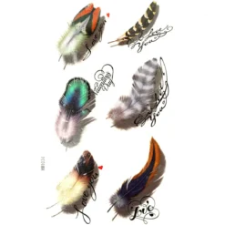 Love Feathers - siirtotatuointi
