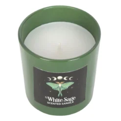 Luna Moth White Sage - tuoksukynttilä