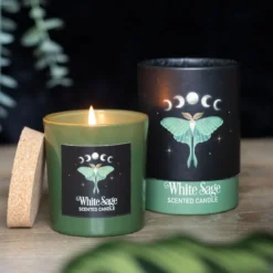 Luna Moth White Sage - tuoksukynttilä