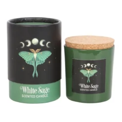Luna Moth White Sage - tuoksukynttilä