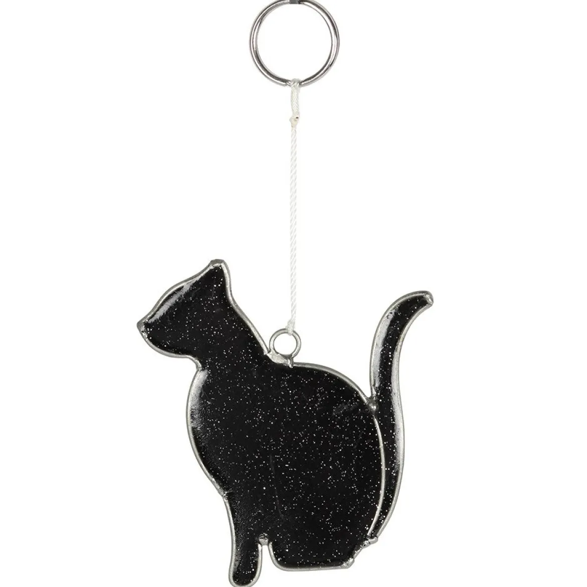 Mystical Black Cat - Aurinkosieppari
