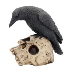 Nemesis Now Ravens Remains - Koriste