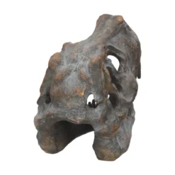 Nemesis Now Tyrannosaurus Rex Skull - Koriste