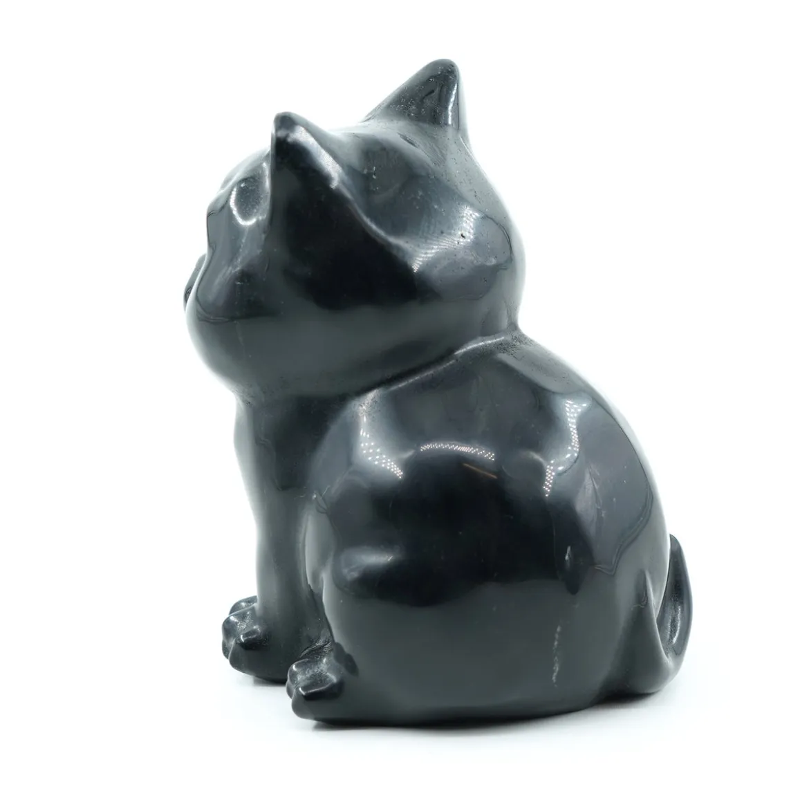 Obsidiaani Kissa