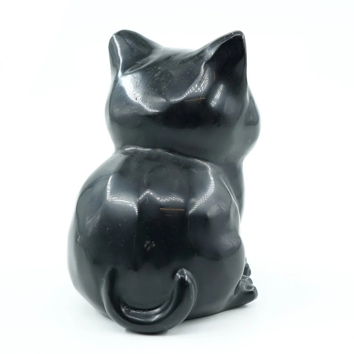 Obsidiaani Kissa