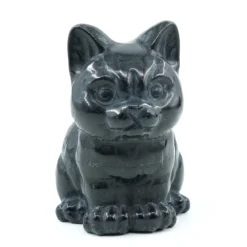 Obsidiaani Kissa