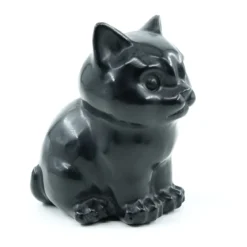 Obsidiaani Kissa