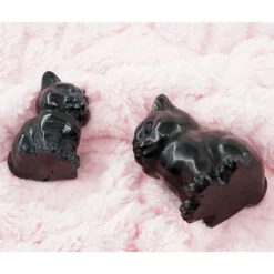 Obsidiaani Kissa