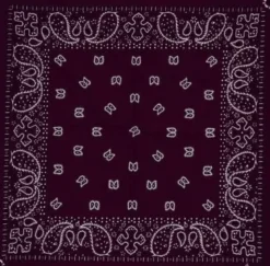 Paisley Bordeaux - Bandana huivi