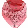 Paisley Coral - Bandana huivi
