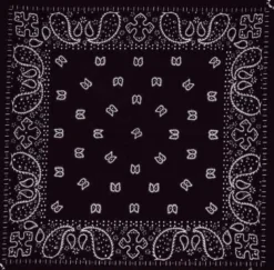 Paisley Dark Brown - Bandana huivi