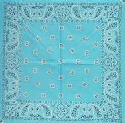 Paisley Turquoise - Bandana huivi