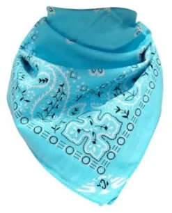 Paisley Turquoise - Bandana huivi