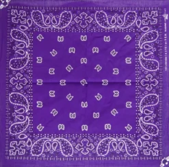 Paisley Violet - XL Bandana huivi
