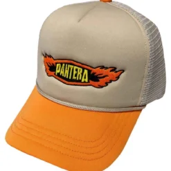 Pantera Flames Logo - Lippis