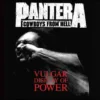 Pantera Vulgar - Jääkaappimagneetti