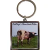 Pink Floyd: Atom heart mother- Avaimenperä