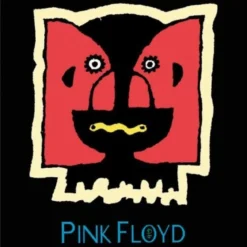 Pink Floyd The division bell - Magneetti