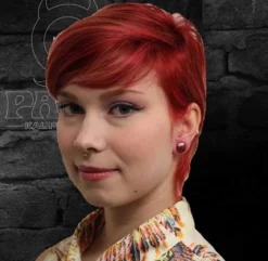 Plugi Maltanristi