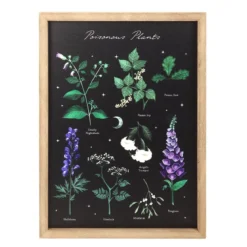 Poisonous Plants - Taulu