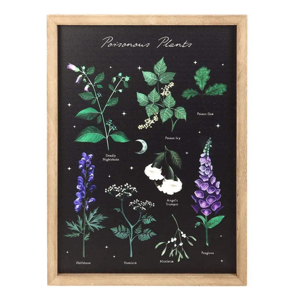 Poisonous Plants - Taulu