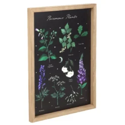 Poisonous Plants - Taulu