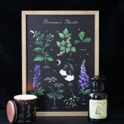 Poisonous Plants - Taulu