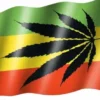Rasta & Cannabis - Lippu