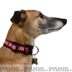 RBF Dog-Tag-koiran kaulapanta, musta