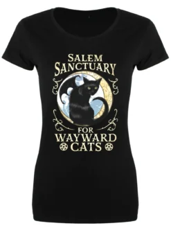 Salem Sanctuary for Wayward Cats - naisten t-paita