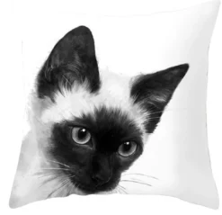 Siamese Cat - Koristetyynynpäällinen