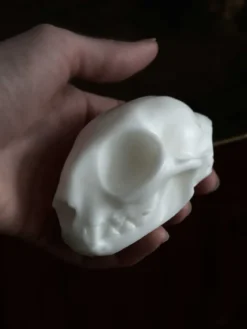 Spatanic Kissankallosaippua