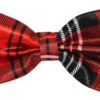 Tartan - Rusetti