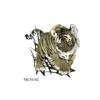 Tiger cub - pieni siirtotatuointi