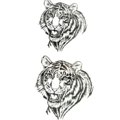 Tiger - siirtotatuointi