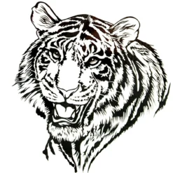 Tiikeri - siirtotatuointi