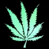 Weed Leaf - Huivi