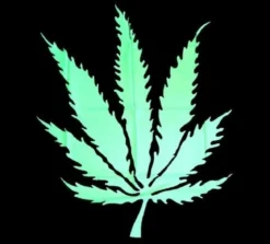Weed Leaf - Huivi